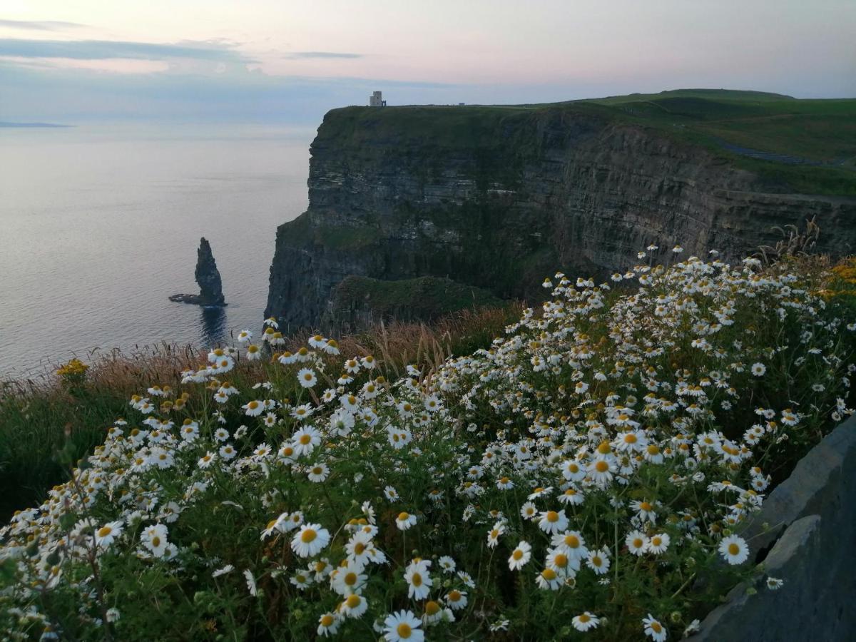 Puffin Rooms Lisdoonvarna Dış mekan fotoğraf