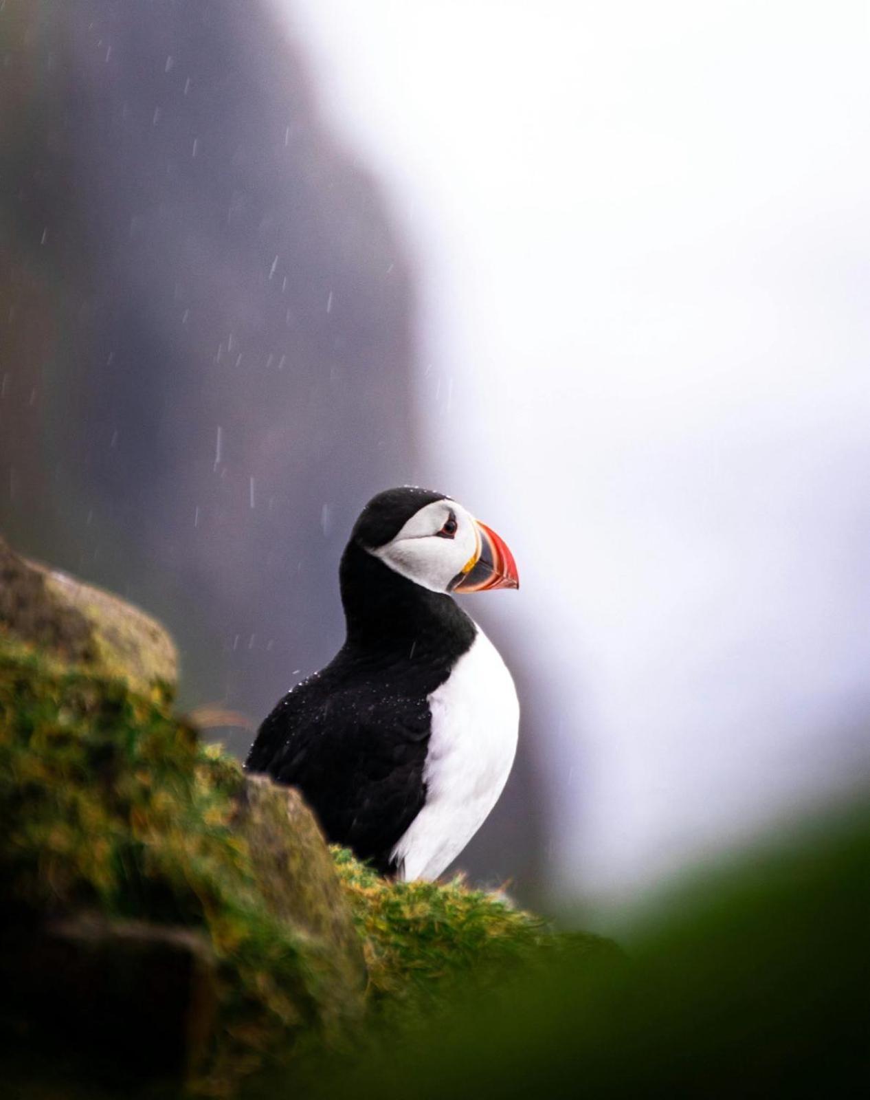 Puffin Rooms Lisdoonvarna Dış mekan fotoğraf